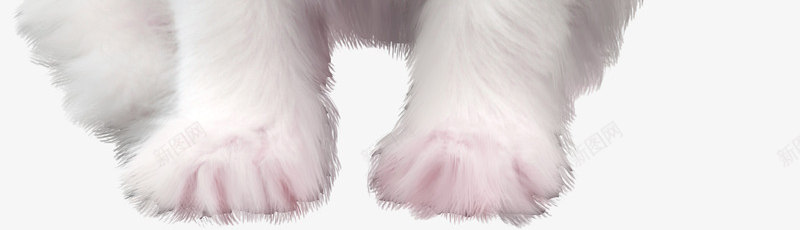 打哈欠的小猫png免抠素材_88icon https://88icon.com 动物 实物 小猫 小猫咪 打哈欠的小猫 猫咪