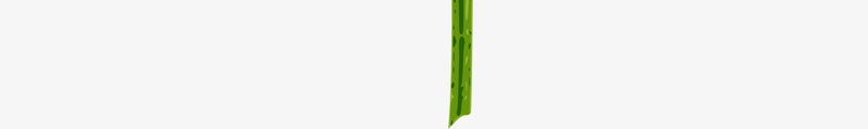 芹菜叶绿色png免抠素材_88icon https://88icon.com PNG图片 免抠 免抠素材 叶子 绿色 绿色植物 芹菜 蔬菜 超高 高清