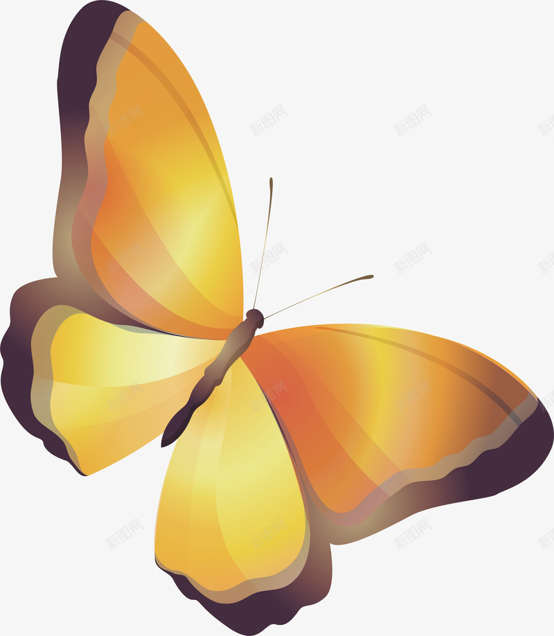 黄色美丽蝴蝶昆虫矢量图ai免抠素材_88icon https://88icon.com 彩绘蝴蝶 彩色蝴蝶 手绘蝴蝶 昆虫 粉色蝴蝶 翅膀 花朵 蓝色蝴蝶 蝴蝶 飞翔 黄色蝴蝶 矢量图