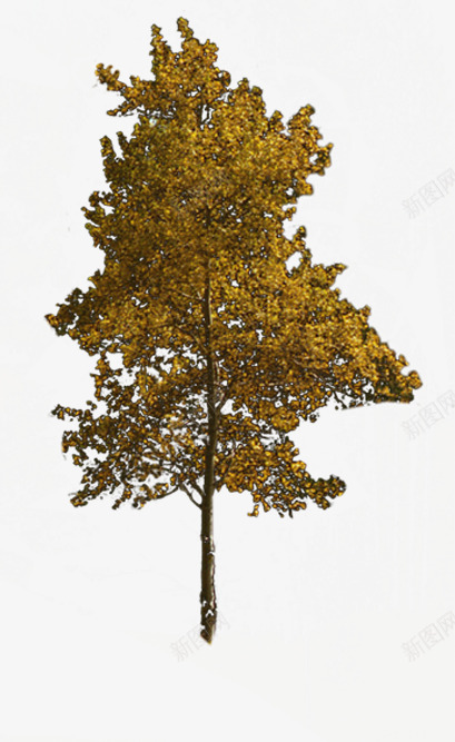 黄色景观大树美景png免抠素材_88icon https://88icon.com 大树 景观 美景 黄色