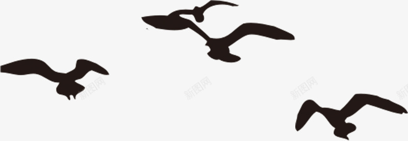 黑色鸟剪影毕业季png免抠素材_88icon https://88icon.com 剪影 毕业 黑色