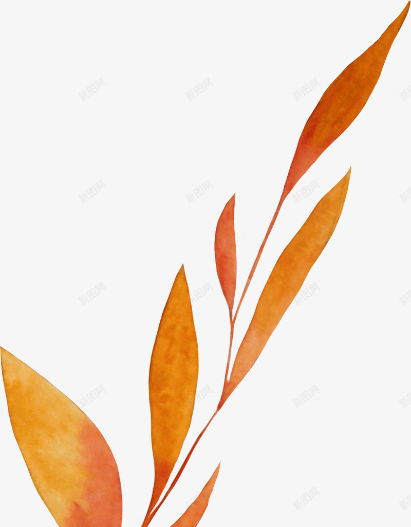 手绘水彩红色细长树叶png免抠素材_88icon https://88icon.com 叶子 广告设计 手绘清新文艺 海报设计 清新装饰 红色 装饰插画