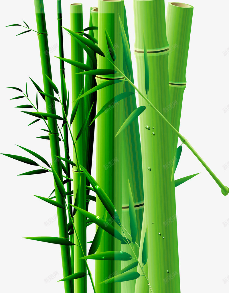 卡通竹子竹节装饰png免抠素材_88icon https://88icon.com 卡通 竹子 竹节 装饰