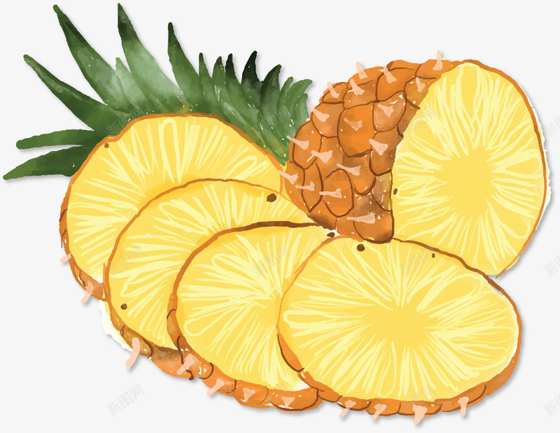 手绘夏季水果菠萝矢量图ai免抠素材_88icon https://88icon.com 夏季水果 夏季菠萝 手绘菠萝 水彩菠萝 矢量png 菠萝 矢量图