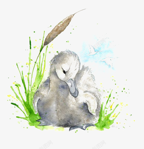水彩鸭子png免抠素材_88icon https://88icon.com 丑小鸭 插画 植物 水彩 灰色 芦苇 鸭子