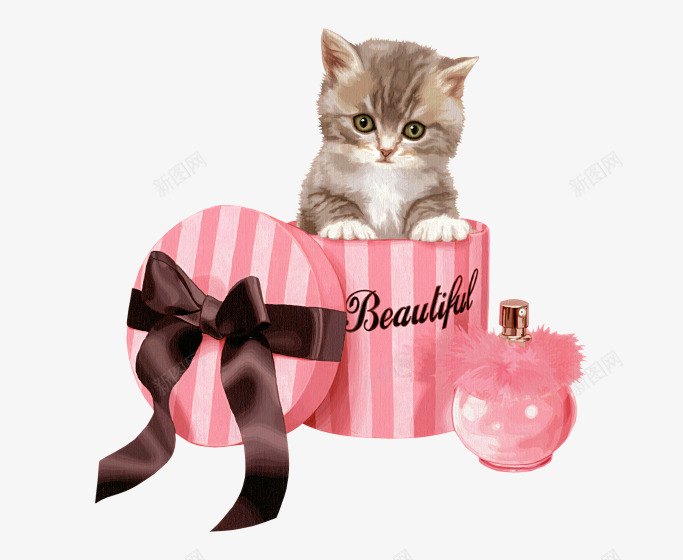 情人节送给爱人的可爱猫咪礼物png免抠素材_88icon https://88icon.com 宠物猫 情人节 新春 春天 春季 礼盒 节日 节日素材