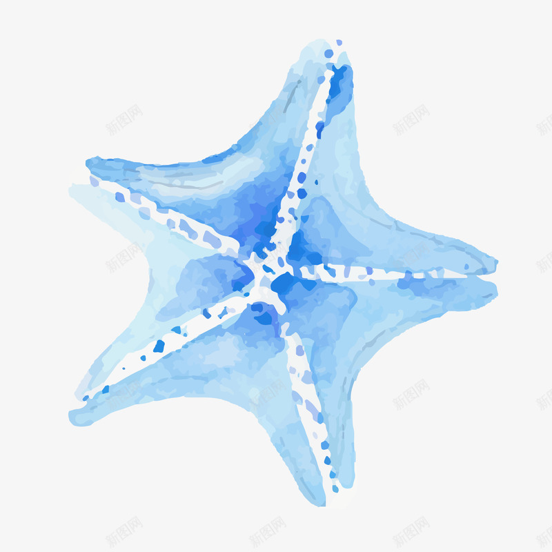 卡通蓝色的手绘海星矢量图ai免抠素材_88icon https://88icon.com 度假 手绘 旅游 水彩 海星 海边 蓝色 矢量图