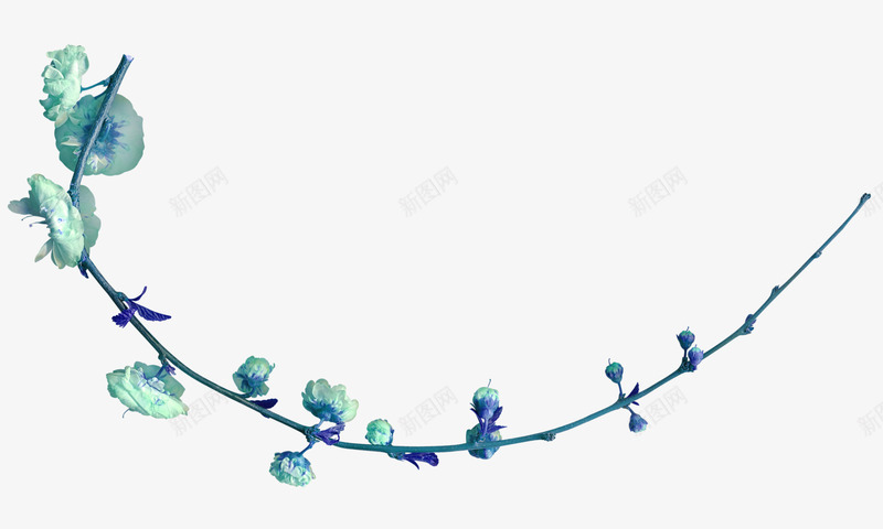 手绘绿叶藤蔓装饰png免抠素材_88icon https://88icon.com 插画 树叶 植物 点缀 绿叶 花边 藤条 藤蔓 装饰