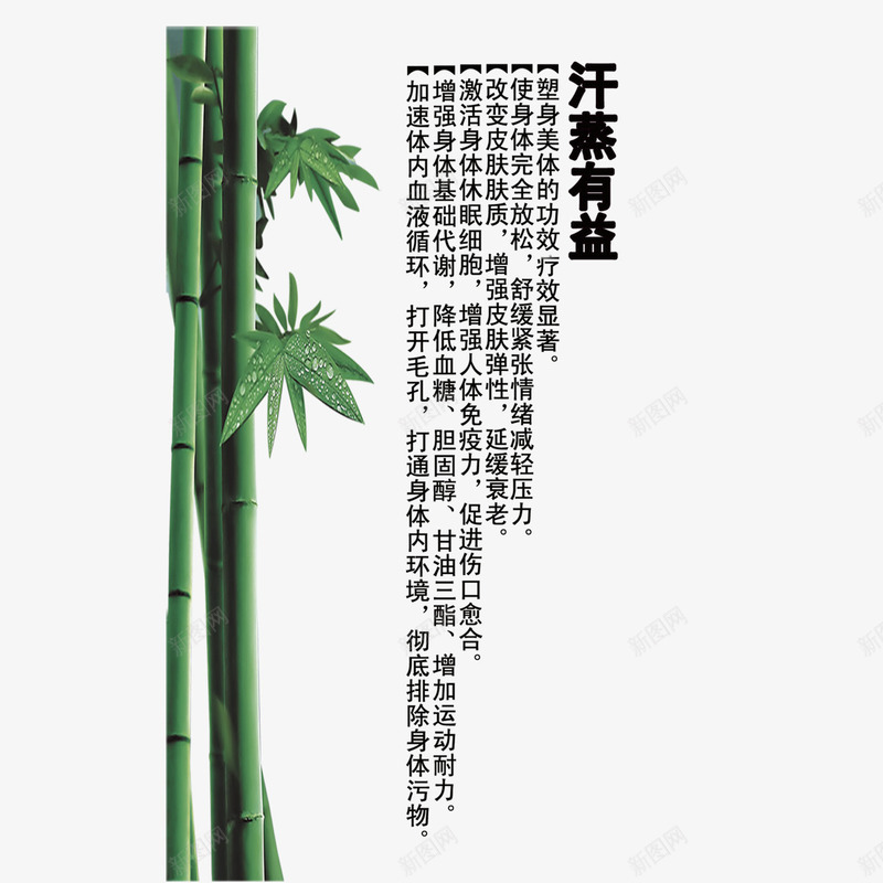 竹子元素png免抠素材_88icon https://88icon.com 卡通 文字 汗蒸养生 汗蒸有益 竹子