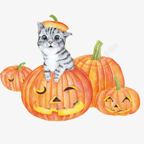 小猫南瓜片png免抠素材_88icon https://88icon.com 南瓜 彩绘画 猫咪 趣味 趣味图片 雕刻南瓜