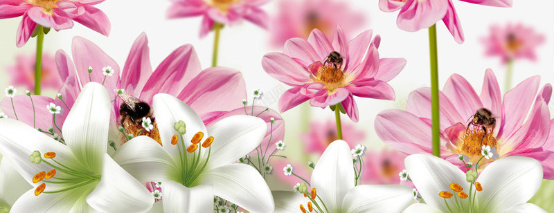 夏日彩虹花朵背景图psd免抠素材_88icon https://88icon.com 彩虹 燕子 粉色 花朵