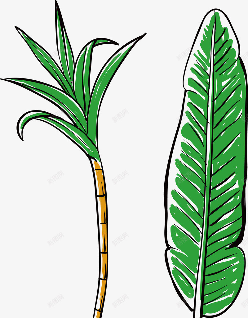 手绘热带植物甘蔗芭蕉矢量图ai免抠素材_88icon https://88icon.com 手绘 泰国 热带植物 甘蔗 矢量png 矢量图 竹蔗 绿色植物 芭蕉 装饰插画