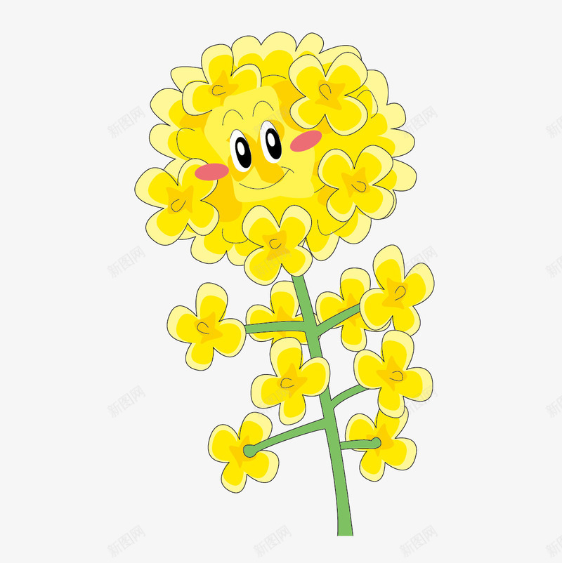 微笑的黄花花png免抠素材_88icon https://88icon.com 油菜 笑脸 花 黄