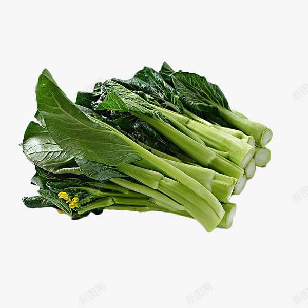 一把新鲜绿色广东菜心食材摄影免png免抠素材_88icon https://88icon.com 一把新鲜绿色广东菜心食材摄影免抠免费下载 广东菜心 水白菜 美食 菜心 菜花 菜苔 蔬菜 超市 青菜 食材 食物