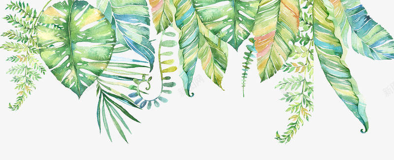 多彩颜色插画植物叶子png免抠素材_88icon https://88icon.com 叶子 多彩 插画 植物 颜色