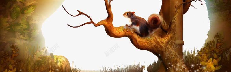 唯美森林背景png免抠素材_88icon https://88icon.com 唯美 松鼠 森林 秋季