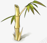 卡通竹子png免抠素材_88icon https://88icon.com 卡通 树木 植物 竹子