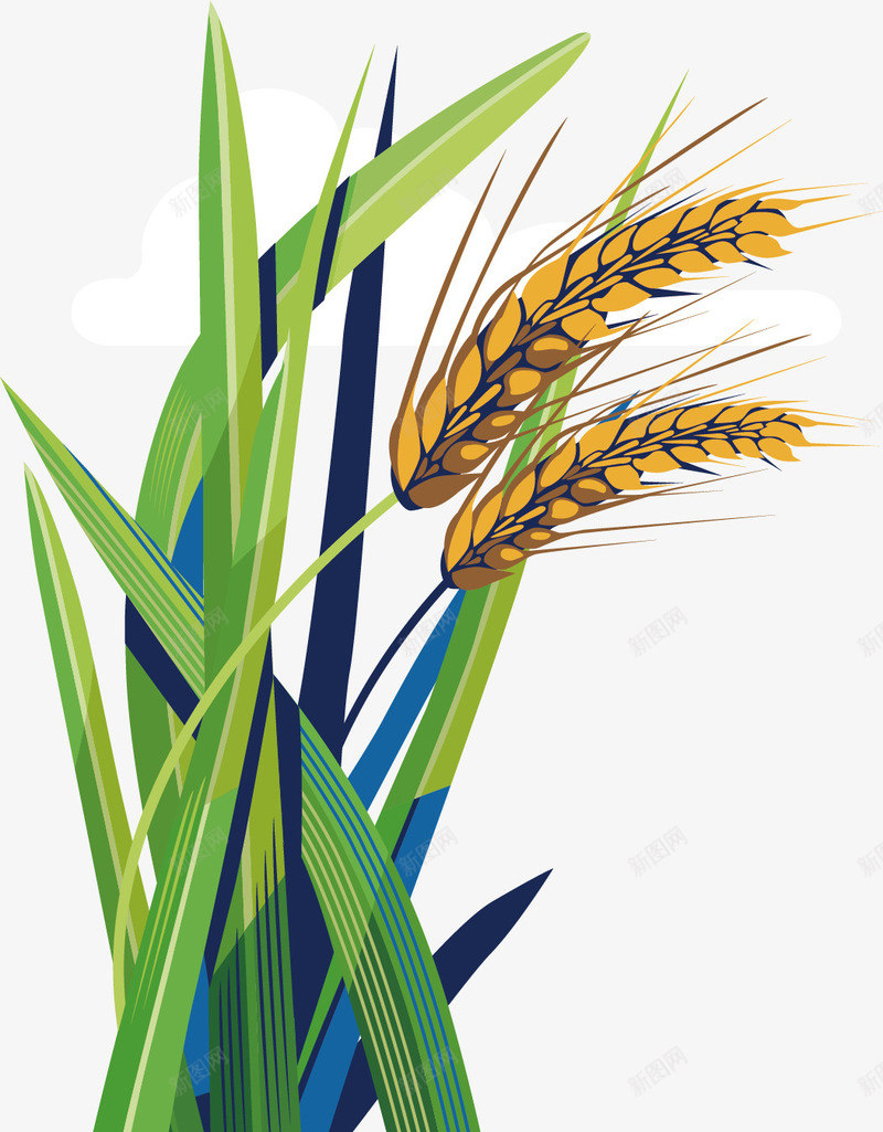 黄色小麦植物卡通插画矢量图ai免抠素材_88icon https://88icon.com 作物 卡通插画 叶子 小麦 植物 粮食 绿色 黄色 矢量图