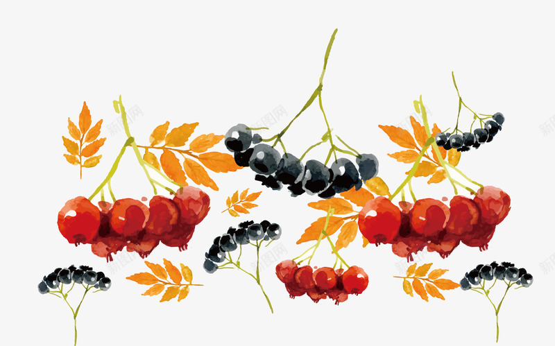 小清新植物背景装饰png免抠素材_88icon https://88icon.com 小清新 手绘植物 秋季 红色果子 背景装饰 黄色叶子