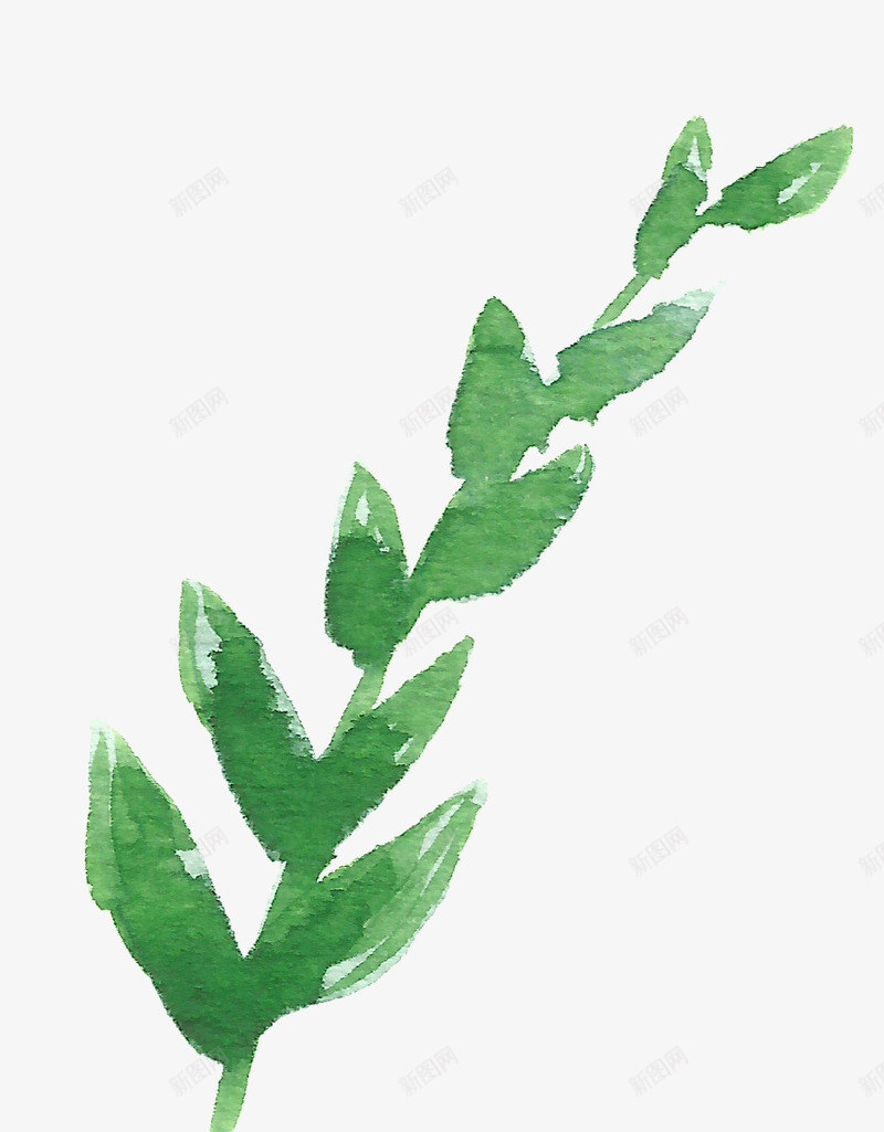 绿色叶子png免抠素材_88icon https://88icon.com 森林 植被 草