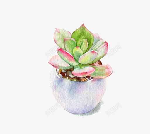 小清新插画广告卡通多肉盆栽png免抠素材_88icon https://88icon.com 卡通手绘装饰插画 多肉小清新插画 多肉植物 多肉植物促销宣传设计 广告设计 简约大气插画 绿色盆栽