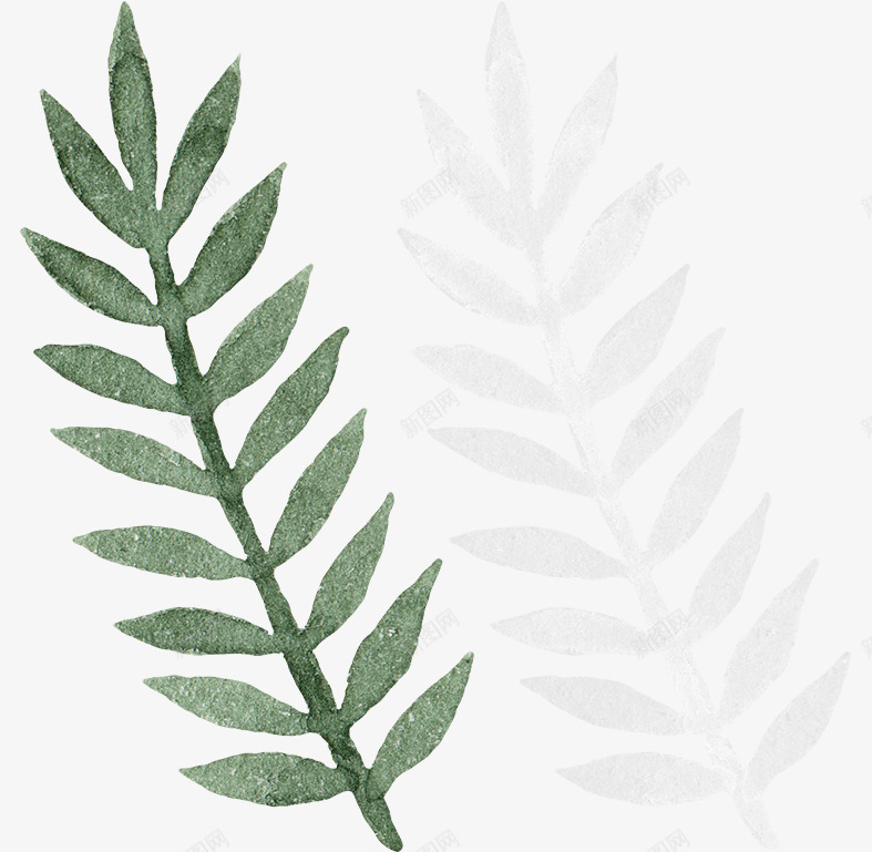 小清新手绘树叶插画png免抠素材_88icon https://88icon.com 叶子插画 小清新插画 手绘叶子插画库 手绘插画库 植物插画 植物插画素材 水彩画 水彩画素材