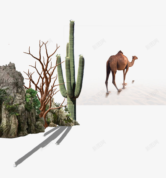 行走的骆驼png免抠素材_88icon https://88icon.com 仙人掌 免抠素材 山 户外 森林 行走 骆驼