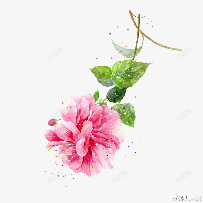 手绘粉色鲜花png免抠素材_88icon https://88icon.com 化妆品元素 女装 植物 水彩画 粉色 鲜花