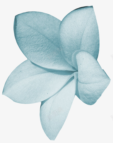 抽象鲜花庆典花卉png免抠素材_88icon https://88icon.com 卡通鲜花图片 手绘花朵图片 抽象鲜花 花卉图案素材 鲜花元素