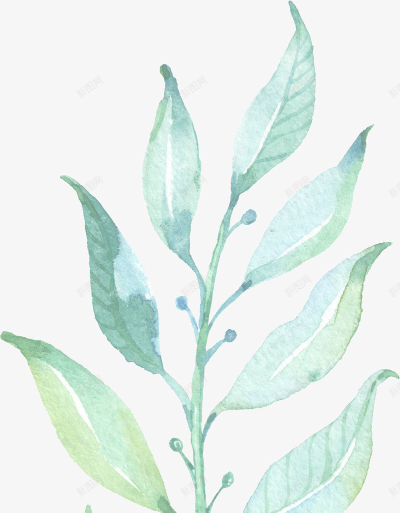 叶子png免抠素材_88icon https://88icon.com PNG 免扣 叶子 唯美 小清新 手绘 月季 树枝 水彩 花环