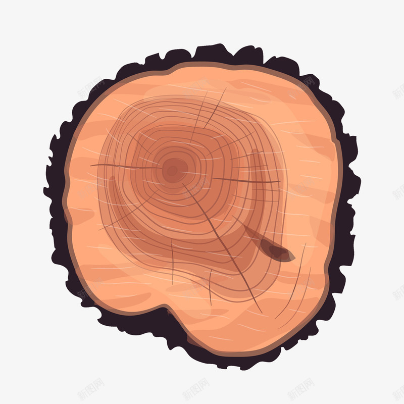 桉树树干树轮psd免抠素材_88icon https://88icon.com 家具 年轮 木头 树干 桉树 粗树干
