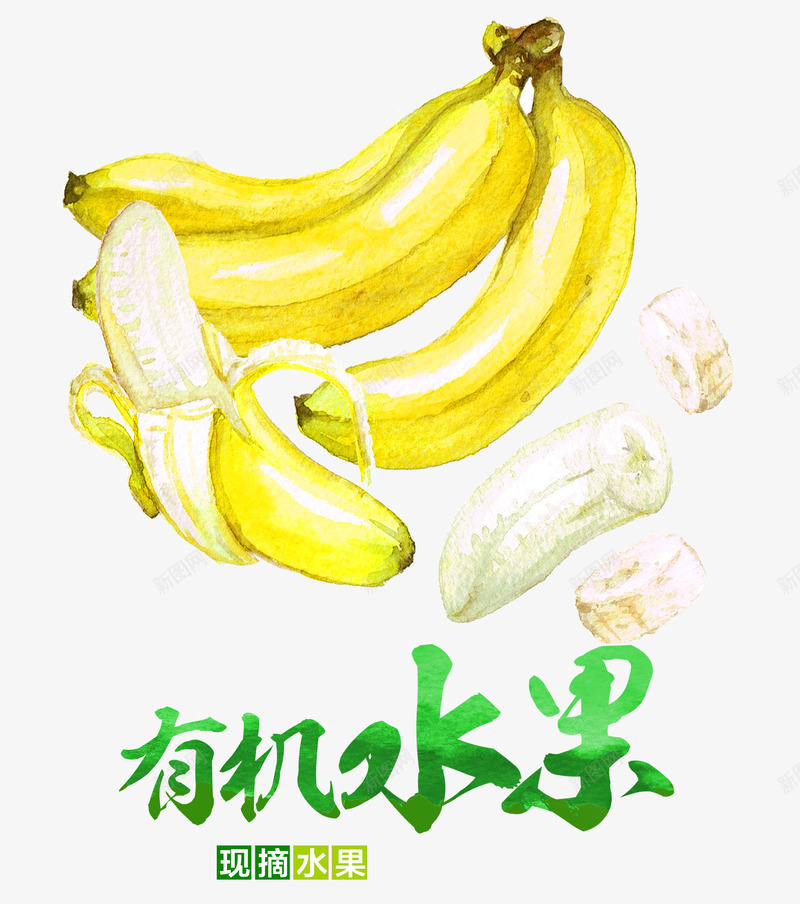 有机水果png免抠素材_88icon https://88icon.com 手绘 水彩 水果 香蕉