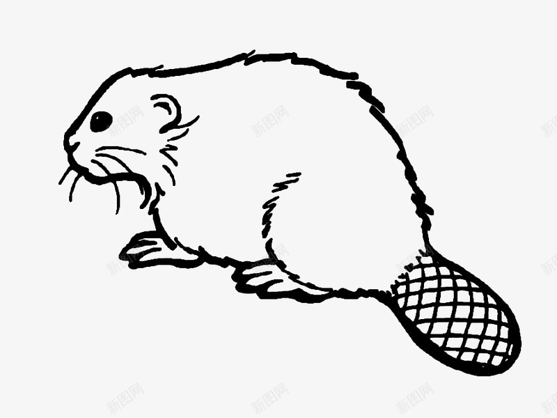 老鼠线稿图png免抠素材_88icon https://88icon.com 动物 卡通 手绘 简笔画 线稿图 鼠