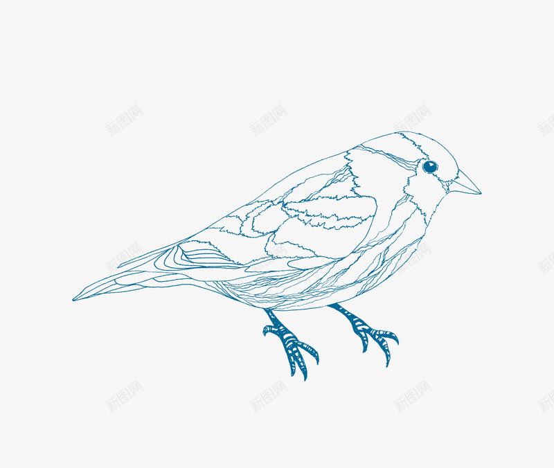 手绘线稿鸟矢量图ai免抠素材_88icon https://88icon.com ai格式 卡通 手绘 简笔画 粉笔 粉笔人 粉笔画 粉笔绘 鸟 矢量图