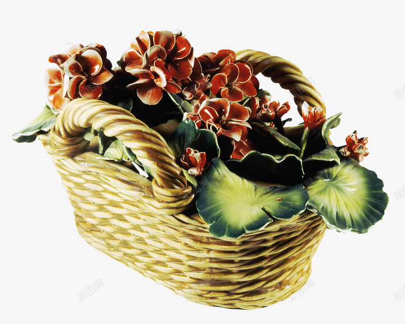 手绘天竺葵png免抠素材_88icon https://88icon.com 洋绣球 灌木植物 牻牛儿苗科 肉质草本 花色鲜艳 装饰花卉 香叶天竺葵