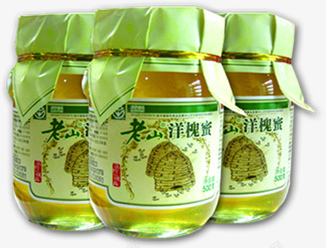 绿色蜂蜜产品png免抠素材_88icon https://88icon.com 产品 绿色 蜂蜜