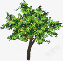 法国梧桐png免抠素材_88icon https://88icon.com 木头 植物 绿色