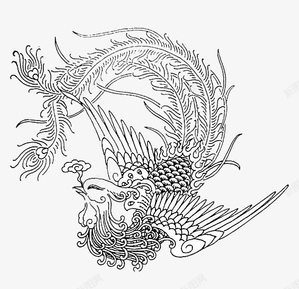 凤凰线稿png免抠素材_88icon https://88icon.com 凤凰 凤凰花 凤凰花儿 单线稿 手绘凤凰 神鸟 线稿 鸟