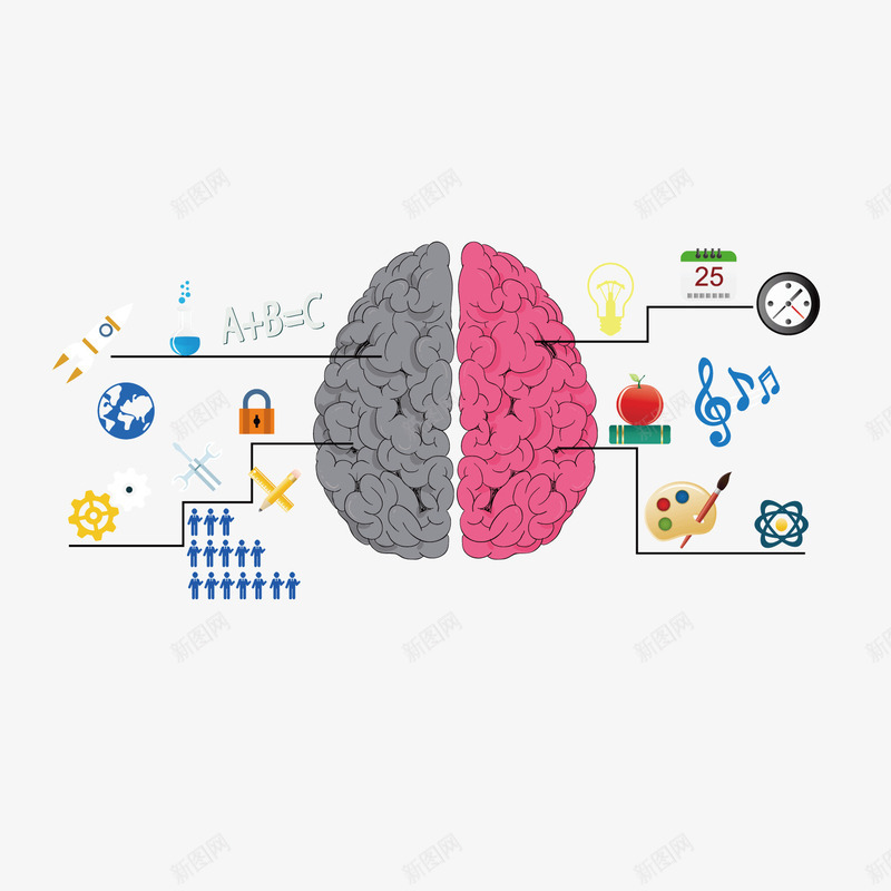 彩色大脑矢量图ai免抠素材_88icon https://88icon.com 分区 分析 大脑 左右 彩色 手绘 科技 线稿 矢量图