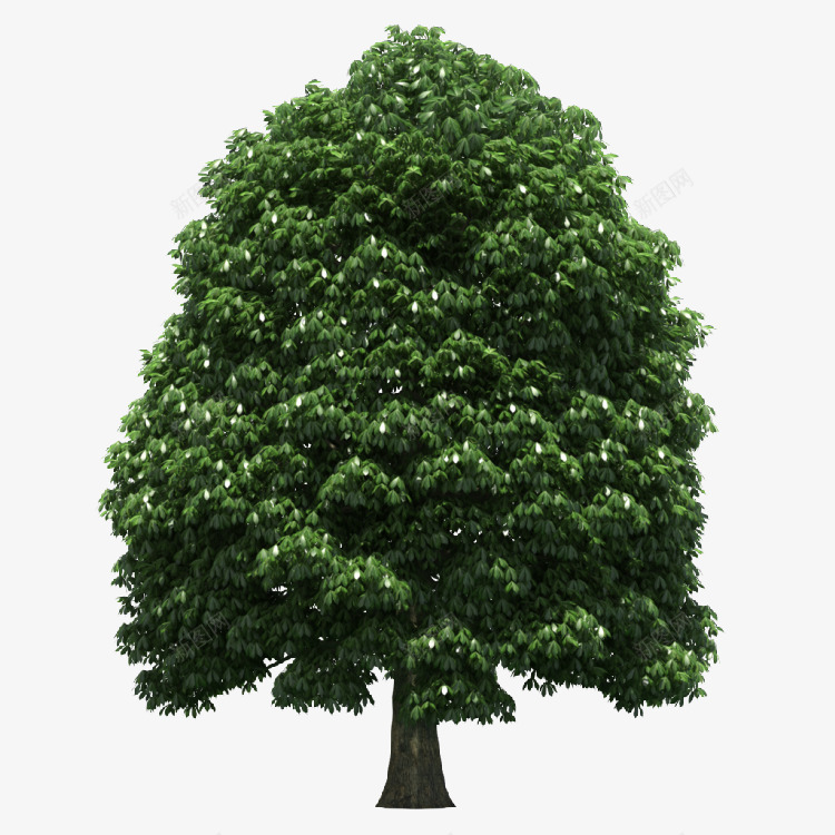 绿色的树木踏青季png免抠素材_88icon https://88icon.com 绿色的树木 踏青季