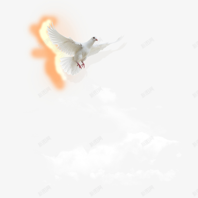 高山云雾鸽子图png免抠素材_88icon https://88icon.com 云 免抠图 高山云雾 鸽子