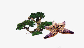 松鼠和海星psd免抠素材_88icon https://88icon.com 娴锋槦 鏉炬爲