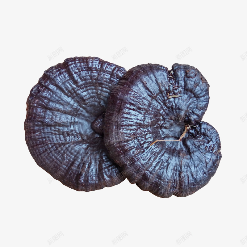 卡通手绘灵芝药材png免抠素材_88icon https://88icon.com 创意 动漫人物 卡通手绘 灵芝 艺术 药材