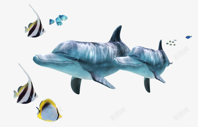 海豚小鱼psd免抠素材_88icon https://88icon.com 海豚 鱼