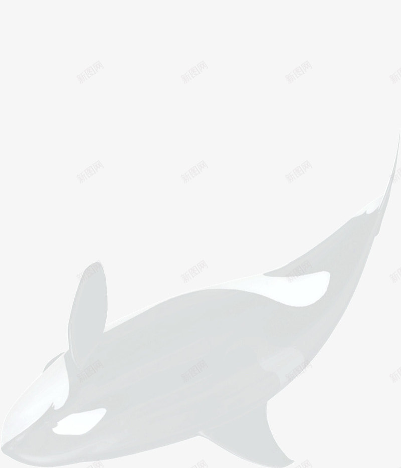 跳跃的海豚鲸鱼png免抠素材_88icon https://88icon.com 海豚 跳跃 鲸鱼