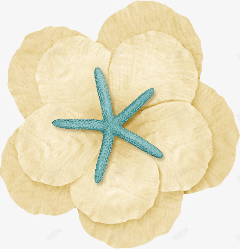 躺着海星的花瓣png免抠素材_88icon https://88icon.com 海星 粉色 花瓣 蓝色