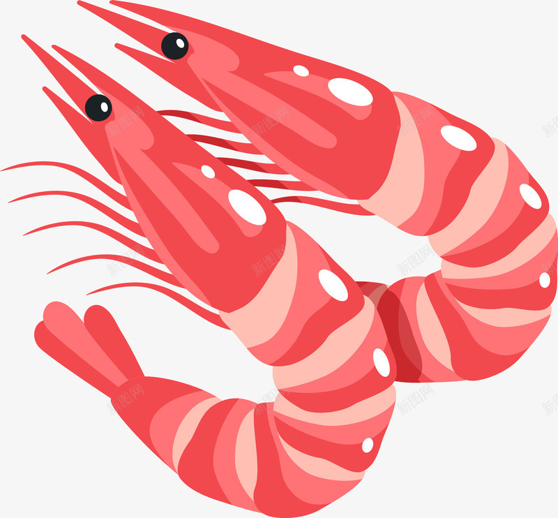 卡通手绘红色的虾png免抠素材_88icon https://88icon.com 创意 动漫动画 卡通虾 基围虾卡通图 手绘 红色的虾 虾简笔画 食物