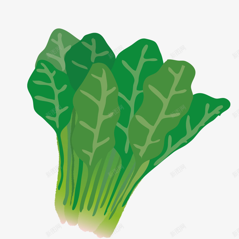 卡通手绘青菜菜叶png免抠素材_88icon https://88icon.com 创意 动漫动画 卡通手绘 绿色的 菜叶 青菜
