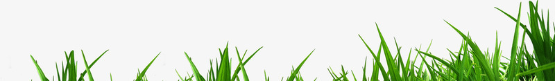 绿色清爽树叶草地美景风光png免抠素材_88icon https://88icon.com 树叶 清爽 绿色 美景 草地 风光