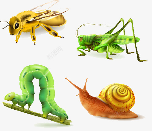 昆虫世界矢量图eps免抠素材_88icon https://88icon.com 动物 昆虫 蜗牛 矢量图